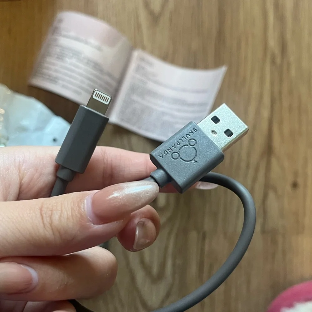 Pop Mart Skull Panda IPhone USB charger cable blind box